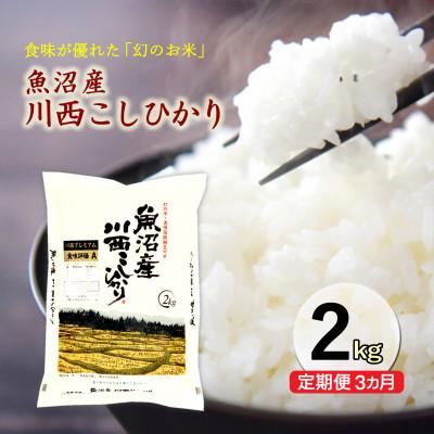 ふるさと納税 十日町市 [発送月固定定期便]定期便3か月 新潟県魚沼産川西こしひかり2kg全3回