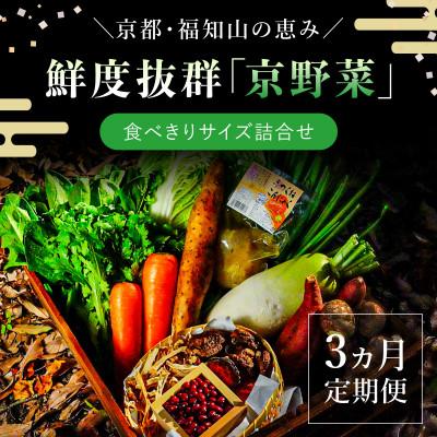 ふるさと納税 福知山市 [毎月定期便]鮮度抜群「京野菜」食べきりサイズ詰合せ(6〜7品目)[京都府福知山市]全3回