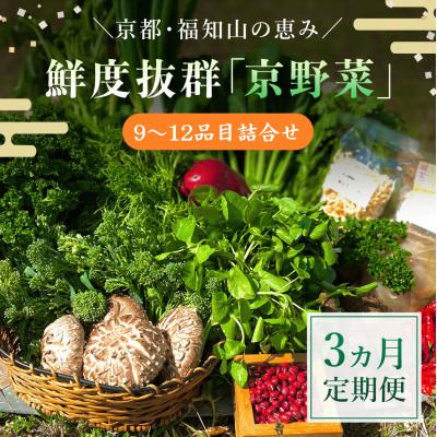 ふるさと納税 福知山市 [毎月定期便]鮮度抜群「京野菜」9〜12品目詰合せ[京都府福知山市]全3回