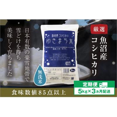 ふるさと納税 十日町市 [発送月固定定期便][10月下旬より発送予定]ゆきまち米 無洗米5kg 魚沼産コシヒカリ全3回