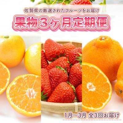 ふるさと納税 鳥栖市 [発送月固定定期便]旬の果物 3か月定期便(鳥栖市)全3回