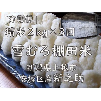 ふるさと納税 上越市 [毎月定期便]雪むろ棚田米 新之助 2kg 精米[新潟県上越市安塚区産]全3回
