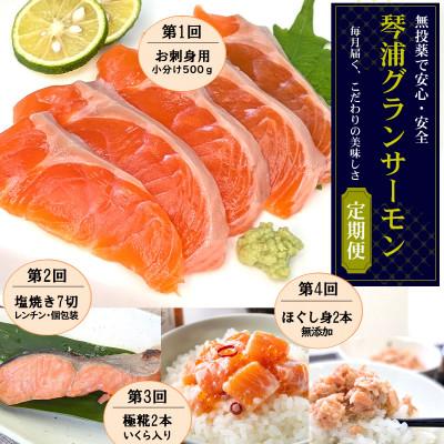 ふるさと納税 新温泉町 [毎月定期便]山陰の魚屋 山米鮮魚 厳選 国産グランサーモン定期便全4回