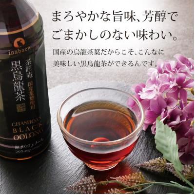 ふるさと納税 牧之原市 静岡県牧之原産 国産黒烏龍茶ペットボトル 500ml×48本セット【複数個口で配送】 |  | 03