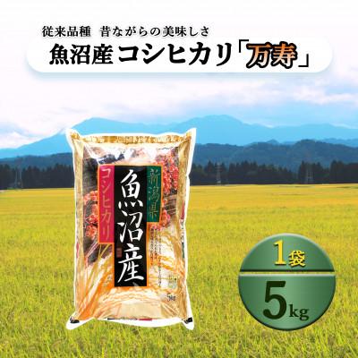 ふるさと納税 十日町市 [発送月固定定期便][10月下旬より発送予定]従来品種 数量限定 魚沼産コシヒカリ 万寿5kg全3回