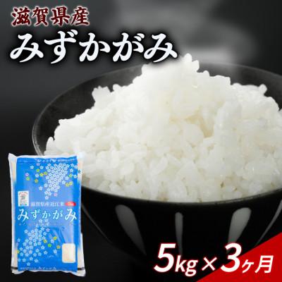 ふるさと納税 彦根市 [毎月定期便]みずかがみ 5kg [滋賀でとれたお米、近江米!]全3回