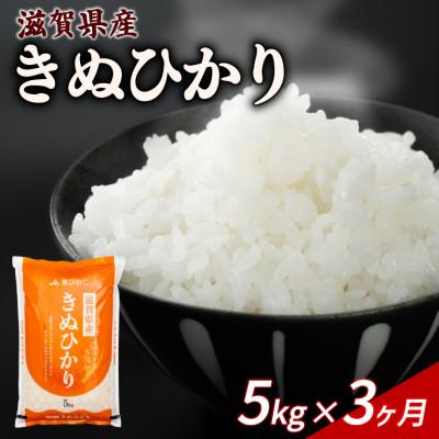 ふるさと納税 彦根市 [毎月定期便]きぬひかり 5kg [滋賀でとれたお米、近江米!]全3回