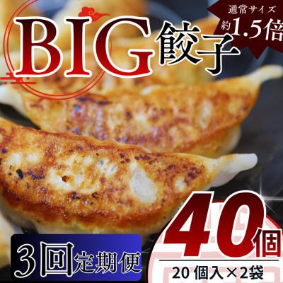 ふるさと納税 真岡市 [毎月定期便]たじまやオリジナルビッグ餃子 40個(20個入り×2袋)小分け 全3回