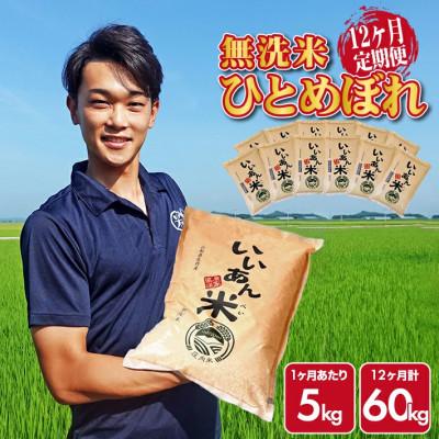 ふるさと納税 酒田市 【毎月定期便】ひとめぼれ 無洗米「いいあん米」5kg 山形県庄内産全12回 | 