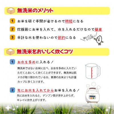 ふるさと納税 酒田市 【2ヵ月毎定期便】はえぬき無洗米『いいあん米』5kg全6回 |  | 03