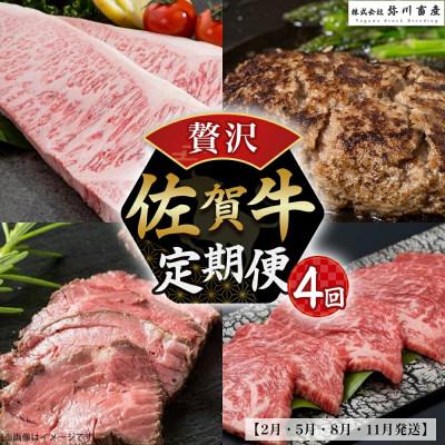 ふるさと納税 太良町 [発送月固定定期便]佐賀牛 贅沢!定期便[SE1x1](太良町)全4回