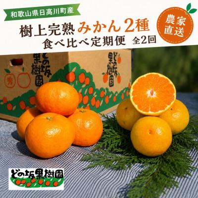 ふるさと納税 日高川町 [発送月固定定期便]甘い!樹上完熟みかん2種 食べ比べ定期便 和歌山県日高川町 各5kg全2回