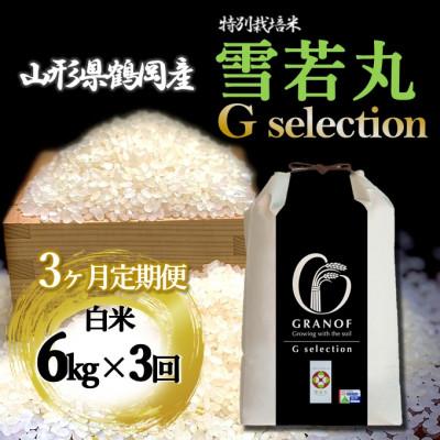 ふるさと納税 鶴岡市 [発送月固定定期便][10月より発送予定]山形県産 雪若丸 Gセレクション 白米 6kg全3回
