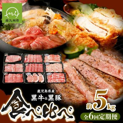 ふるさと納税 南九州市 [発送月固定定期便]鹿児島黒牛・黒豚食べ比べ定期便(南九州市)全6回