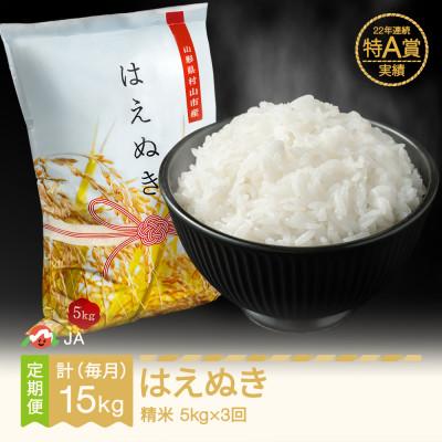 ふるさと納税 村山市 [毎月定期便]はえぬき 精米(5kg)全3回