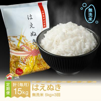 ふるさと納税 村山市 [毎月定期便]はえぬき 無洗米(5kg)全3回