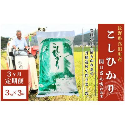 ふるさと納税 上田市 [毎月定期便]コシヒカリ 関口さんちのお米 3kg[54040932]全3回