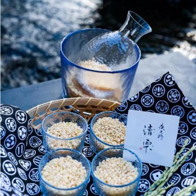 ふるさと納税 福知山市 [発送月固定定期便]清雫(コシヒカリ)玄米10kg+黒ムラサキ900g(丹波黒大豆の枝豆)全3回