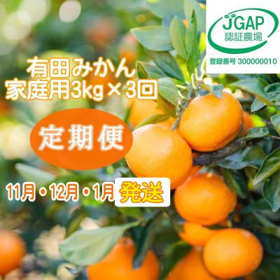ふるさと納税 湯浅町 [発送月固定定期便][まごころ手選別]有田みかん 3kg 家庭用[11月・12月・1月発送]全3回
