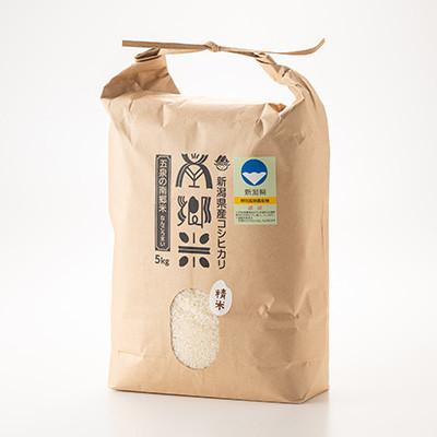 ふるさと納税 五泉市 【毎月定期便】[6回定期便]特別栽培米コシヒカリ100%「南郷米」精米 5kg(5kg×1袋)全6回 |  | 01