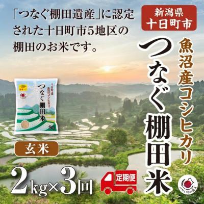 ふるさと納税 十日町市 [毎月定期便]新潟県十日町市魚沼産コシヒカリ「つなぐ棚田米」玄米2kg全3回