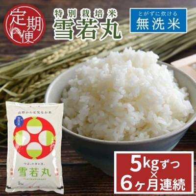 ふるさと納税 酒田市 [発送月固定定期便]山形県産 雪若丸 無洗米 5kg 農家直送全6回