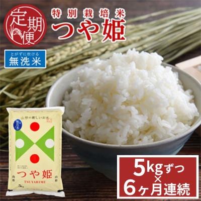 ふるさと納税 酒田市 [発送月固定定期便]山形県産 つや姫 無洗米 5kg 農家直送 全6回