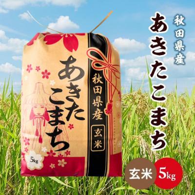 ふるさと納税 潟上市 【毎月定期便】秋田県産あきたこまち 5kg(玄米)全3回 | 
