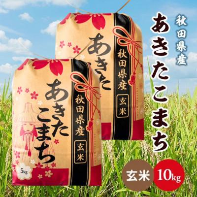 ふるさと納税 潟上市 【毎月定期便】秋田県産あきたこまち 10kg(5kg×2袋)(玄米)全3回 | 
