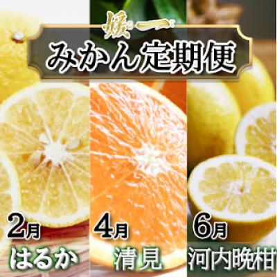 ふるさと納税 八幡浜市 [発送月固定定期便]愛媛が誇る旬の柑橘めぐり(はるか・清見・河内晩柑)[28-53]全3回