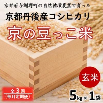 ふるさと納税 与謝野町 【毎月定期便】京都府産「京の豆っこ米」 玄米5kg　おいしい丹後のコシヒカリ　農家直送全3回 | 
