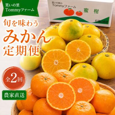 ふるさと納税 日高川町 [発送月固定定期便][2026年10月・12月発送]旬を味わうみかん定期便(各5kg)全2回