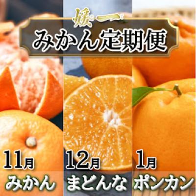 ふるさと納税 八幡浜市 [発送月固定定期便]愛媛が誇る旬の柑橘めぐり みかん・まどんな・ポンカン[28-56]全3回