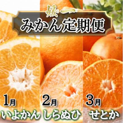 ふるさと納税 八幡浜市 [発送月固定定期便]愛媛が誇る旬の柑橘めぐり (いよかん・しらぬい・せとか)[28-54]全3回