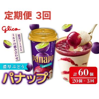 ふるさと納税 常陸大宮市 [毎月定期便]パナップ 濃厚ぶどう 20個入り グリコ アイス全3回