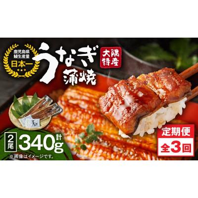 ふるさと納税 鹿屋市 [発送月固定定期便]大隅特産うなぎ蒲焼2尾(340g)[国産]2479全3回