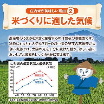 ふるさと納税 酒田市 【毎月定期便】特別栽培米 つや姫【精米】5kg全12回 |  | 03