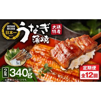 ふるさと納税 鹿屋市 [毎月定期便]大隅特産うなぎ蒲焼2尾(340g)[国産]2481全12回