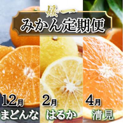 ふるさと納税 八幡浜市 [発送月固定定期便]愛媛が誇る旬の柑橘めぐり(媛一まどんな・はるか・清見)[28-57]全3回