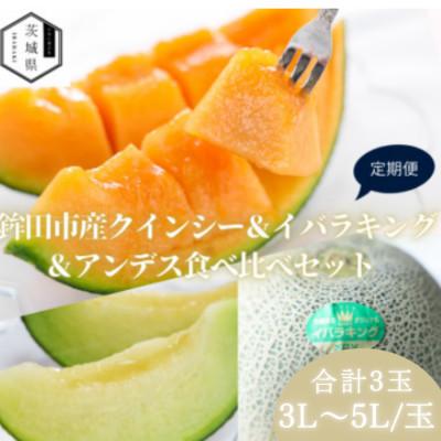 ふるさと納税 茨城県 [発送月固定定期便]4・5・6月発送予定 山一ファーム 鉾田市 メロン食べ比べ 3種類全3回