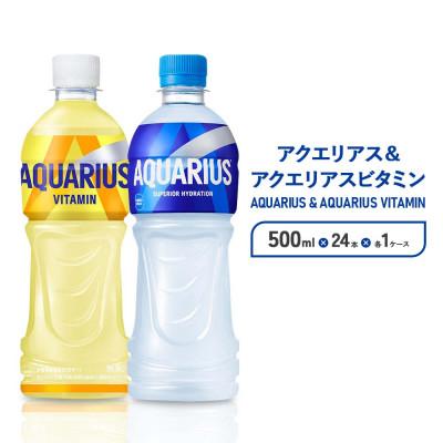 ふるさと納税 えびの市 アクエリアス ビタミン・アクエリアスセット PET 500ml×24本×各1ケース[複数個口で配送]