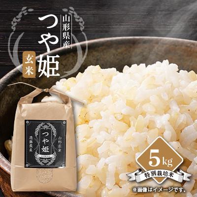 ふるさと納税 川西町 [発送月固定定期便]不揃い自然薯約1kgと美味しいつや姫玄米5kg お楽しみ固定定期便!全2回