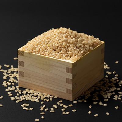 ふるさと納税 川西町 【発送月固定定期便】不揃い自然薯約1kgと美味しいつや姫玄米5kg　お楽しみ固定定期便!全2回 |  | 01