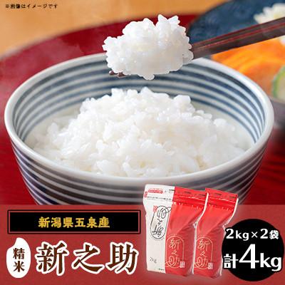 ふるさと納税 五泉市 [毎月定期便][3回定期便]新之助 精米 4kg(2kg×2袋)全3回