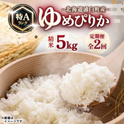 ふるさと納税 浦臼町 [発送月固定定期便]浦臼町産 ゆめぴりか(精米)5kg 特A お米全2回