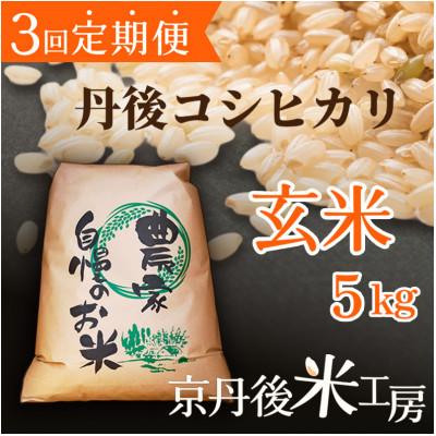 ふるさと納税 京丹後市 [毎月定期便]京丹後産コシヒカリ 玄米5kg全3回