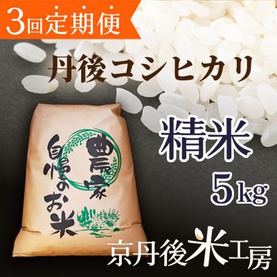 ふるさと納税 京丹後市 [毎月定期便]京丹後産コシヒカリ 精米5kg全3回