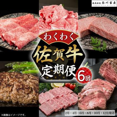 ふるさと納税 太良町 [発送月固定定期便]佐賀牛 わくわく便 (偶数月配送)[ZF1×1](太良町)全6回