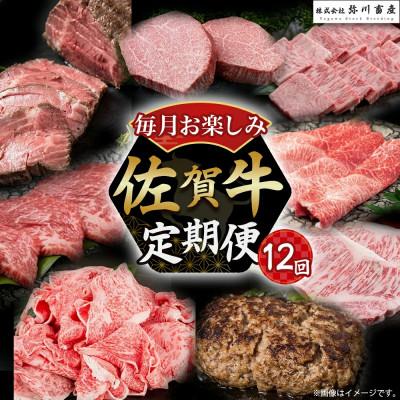 ふるさと納税 太良町 [発送月固定定期便]佐賀牛 毎月お楽しみ便 [V2×1](太良町)全12回