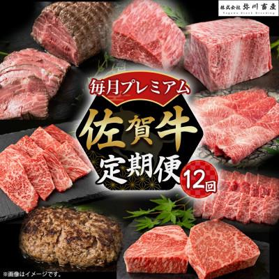 ふるさと納税 太良町 [発送月固定定期便]佐賀牛 毎月プレミアム定期便[X8×1](太良町)全12回